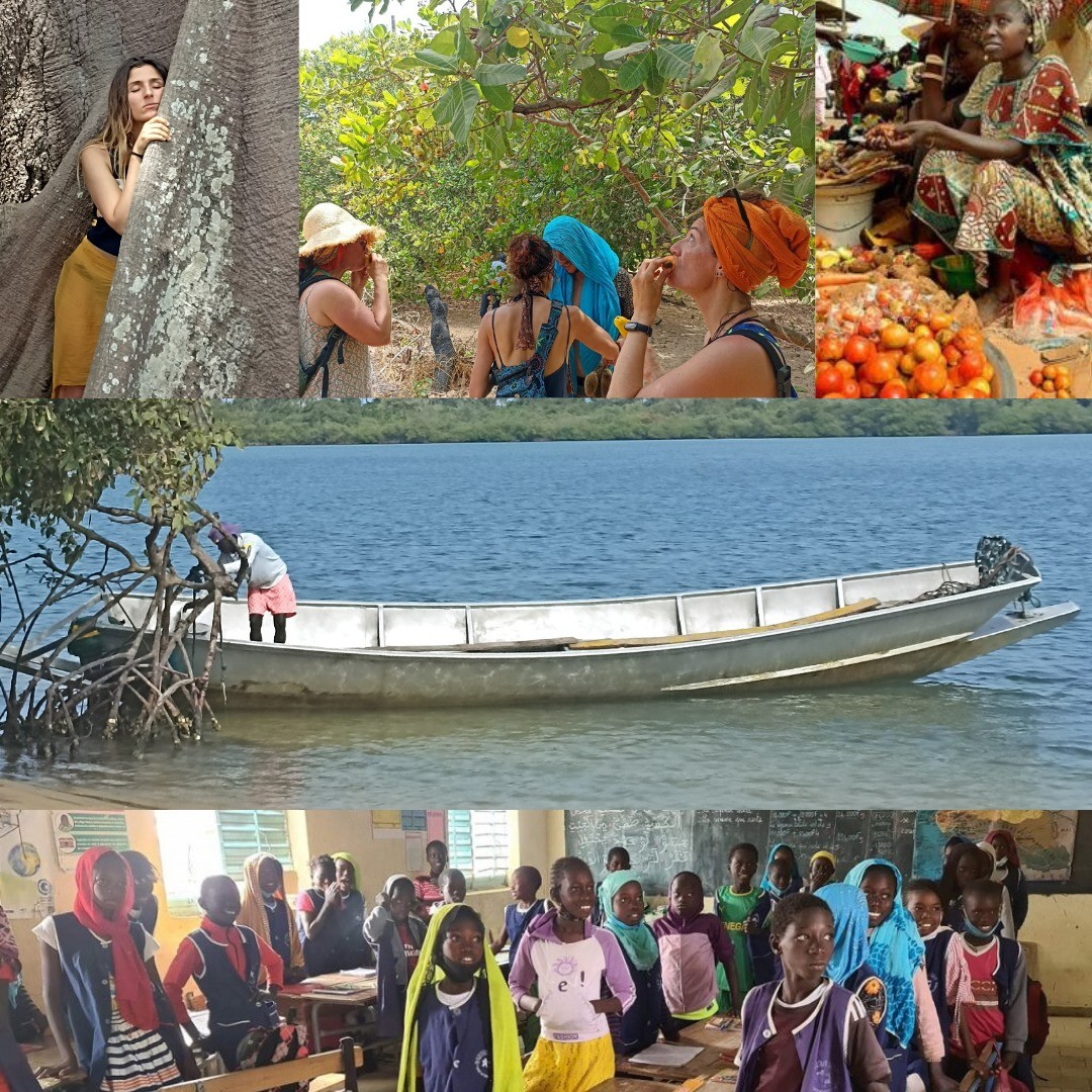 Senegal 07